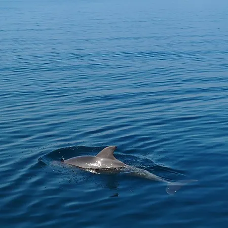Casa Al Mare بيت للعطل
