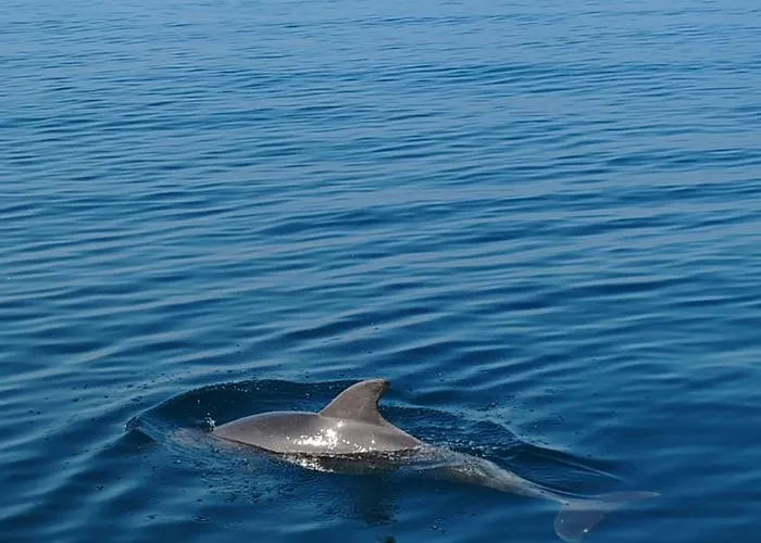 Casa Al Mare 度假居